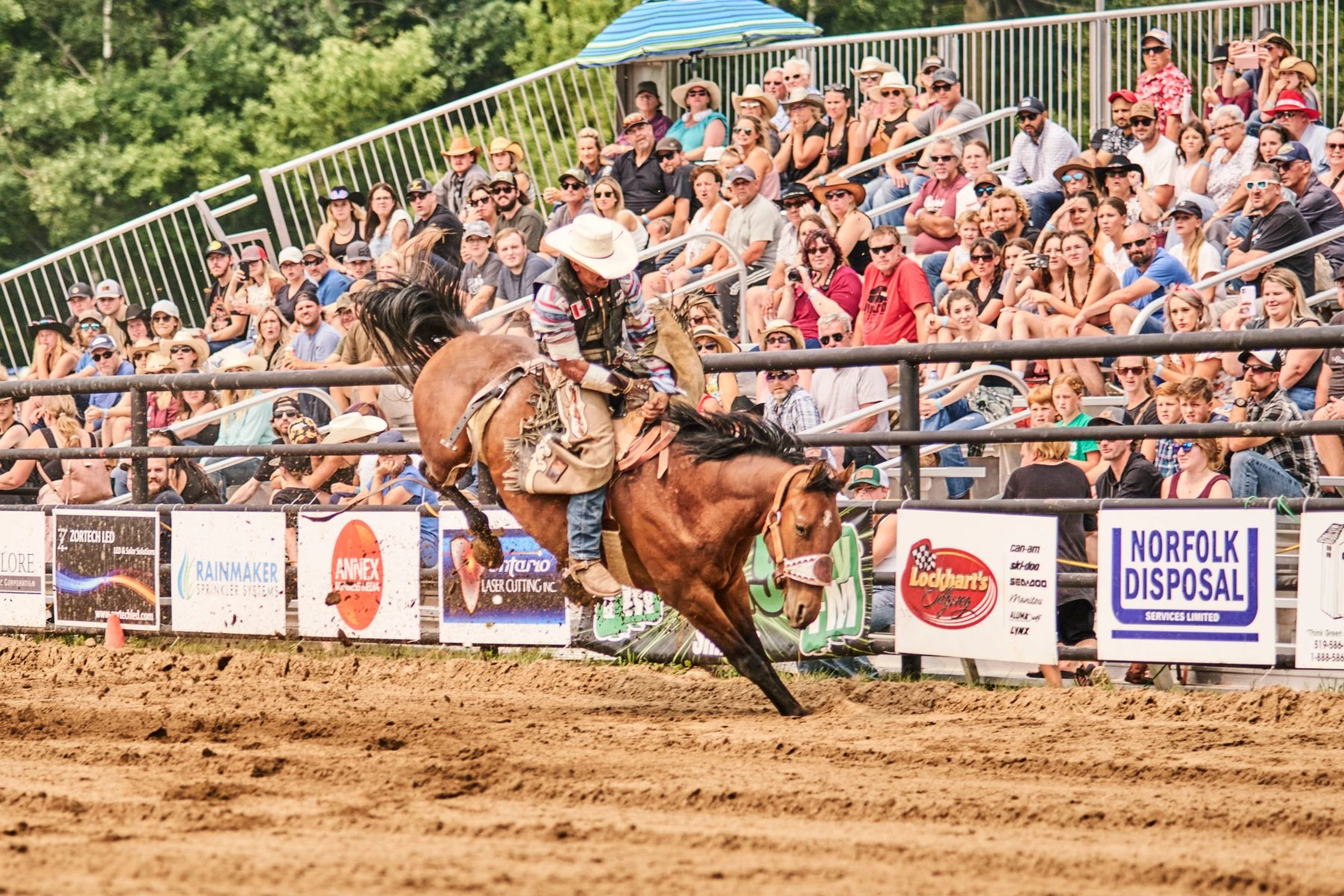 norfolk disposal lockharts myfm laser cutting annex rainmaker zortech